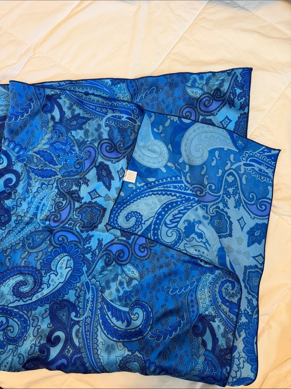 Blue Paisley Silk Scarf - Unbranded